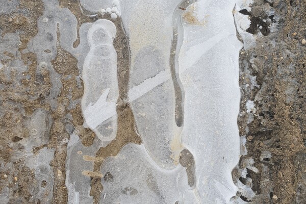 Expositie Elles van Loenen