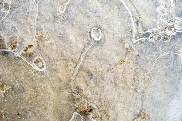 Expositie Elles van Loenen