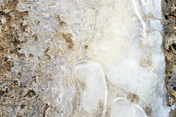 Expositie Elles van Loenen