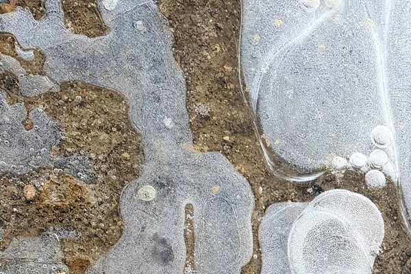 Expositie Elles van Loenen