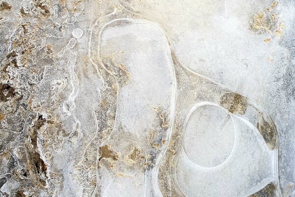 Expositie Elles van Loenen