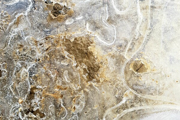 Expositie Elles van Loenen