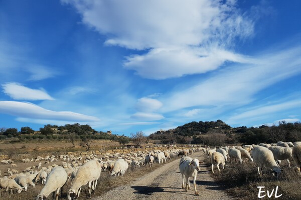 Expositie Elles van Loenen