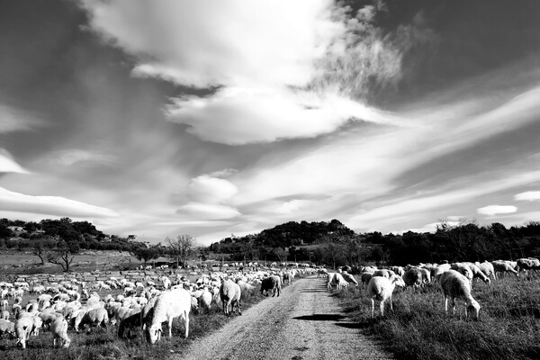 Expositie Elles van Loenen