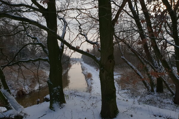 Expositie Elles van Loenen