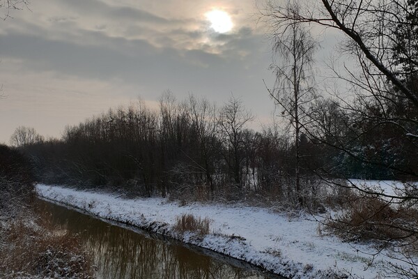 Expositie Elles van Loenen