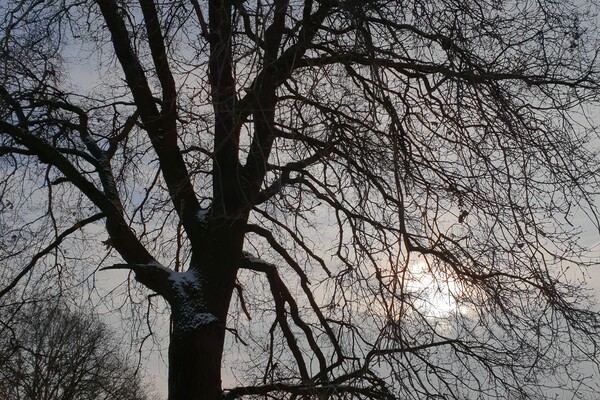 Expositie Elles van Loenen