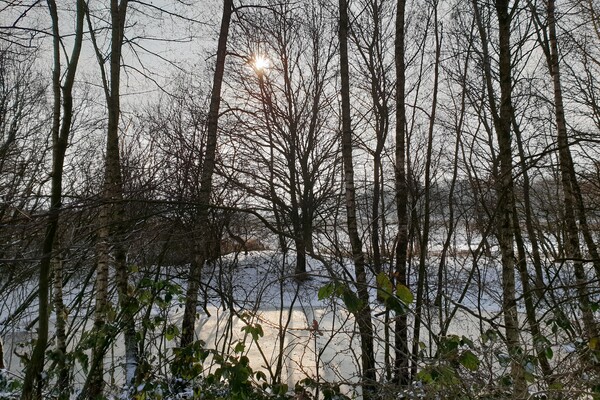 Expositie Elles van Loenen