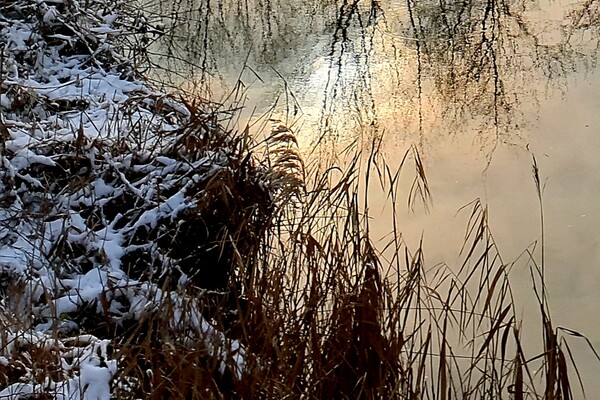 Expositie Elles van Loenen