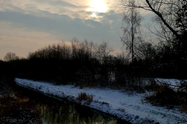 Expositie Elles van Loenen