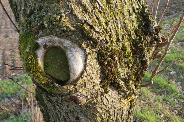Expositie Elles van Loenen