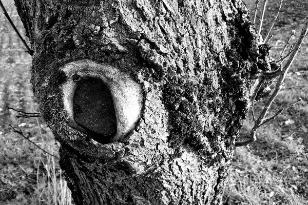 Expositie Elles van Loenen