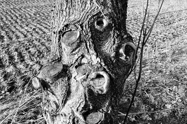 Expositie Elles van Loenen