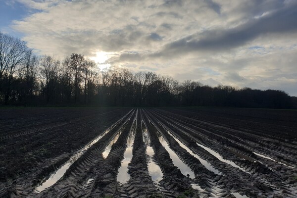 Expositie Elles van Loenen
