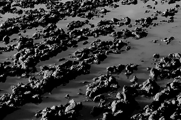 Expositie Elles van Loenen