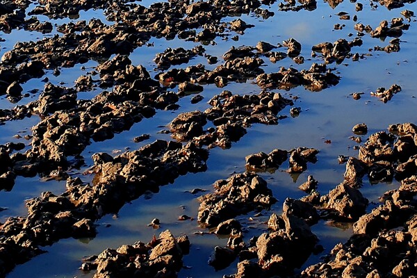 Expositie Elles van Loenen