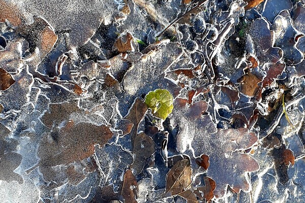 Expositie Elles van Loenen