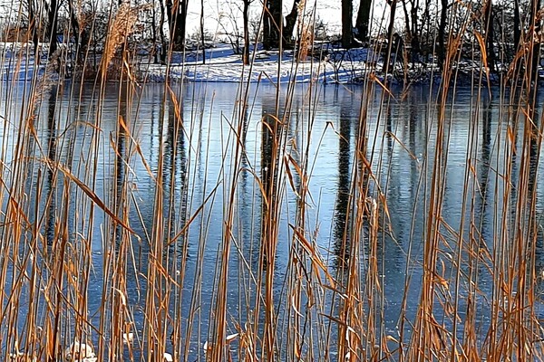 Expositie Elles van Loenen