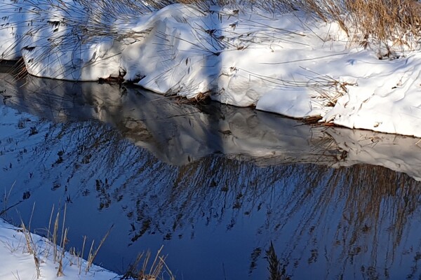 Expositie Elles van Loenen
