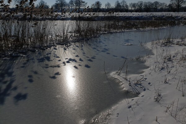 Expositie Elles van Loenen