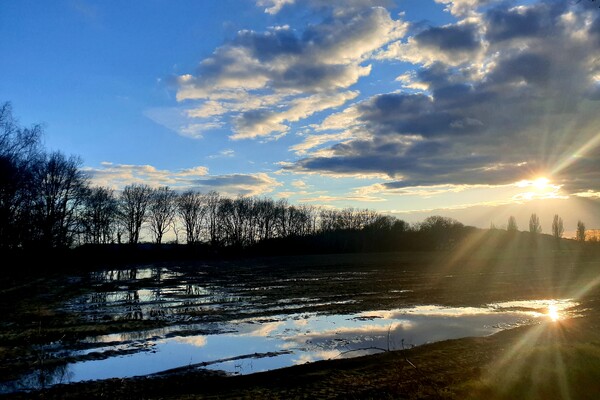 Expositie Elles van Loenen