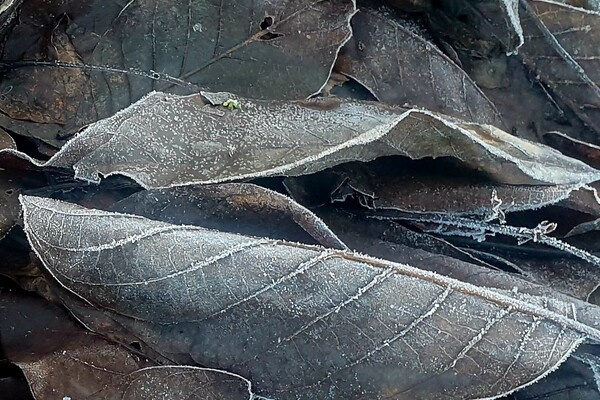 Expositie Elles van Loenen