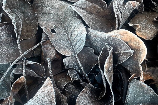 Expositie Elles van Loenen