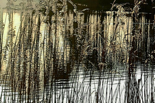 Expositie Elles van Loenen