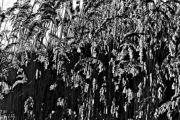 Expositie Elles van Loenen