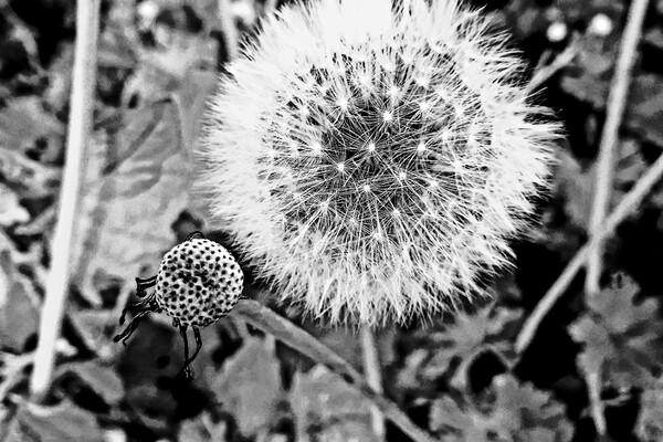 Expositie Elles van Loenen