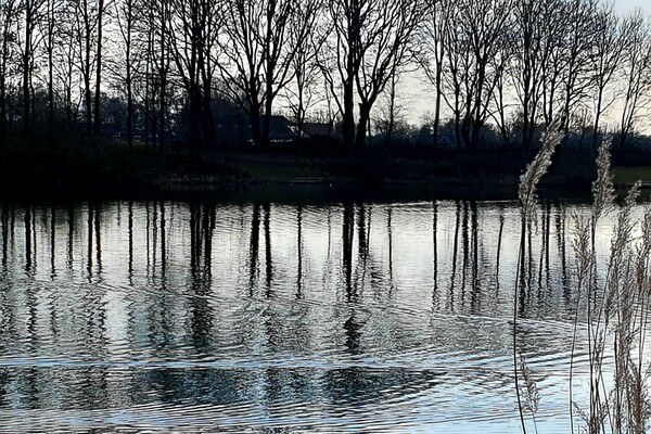 Expositie Elles van Loenen