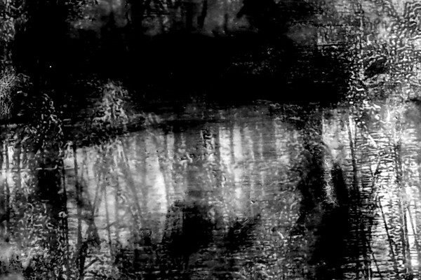 Expositie Elles van Loenen