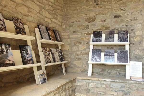 Expositie Elles van Loenen