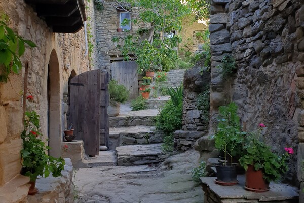 Expositie Elles van Loenen